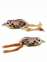 Molix Frog  68