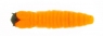 Caimano Worm (37mm)  84