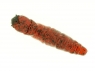 Caimano Worm (37mm)  03