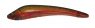 KOOLIE MINNOW 118 BRL FT  PRT