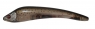 KOOLIE MINNOW 118 LL FT  BRD