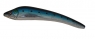 KOOLIE MINNOW 136 LL FT FW  ND2