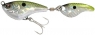 SPIN SHAD  00 / 3,5gr  D9
