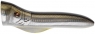 SPLASHER 72  NMT