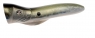 SPLASHER 90 FT  D9