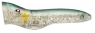 SPLASHER 90 FT  PZ