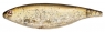 STICK SHAD 114- SU  PS
