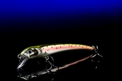 MOLIX AUDACE (65mm)
