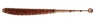 SATOR WORM (60mm) 2,5