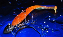 MOLIX RA SHAD 3