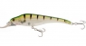 ACAST MINNOW MR 165 FT  NK2