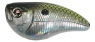 CRANKSTER MR 45 SK  D9