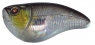 CRANKSTER MR 45 SK  O