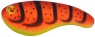 FLATT SHAD 66 SK  CD1