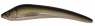 KOOLIE MINNOW 136 LL FT FW  NMT