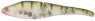 MAGIC SWIMMER 082 F SK  NK2