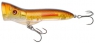 SPLASHER 72  BRA