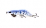 HS45 HARD SHRIMP  115