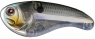 SEBILE FLATT SHAD 66 SK SNAGLESS  SB2