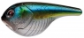  D&S CRANK 70  O4