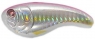 FLATT SHAD 66 SK X-H SNAGLES  J03