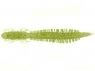 Dragonfly 5
