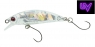 SAKURA PHOXY MINNOW AREA 40 - CP