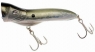 SPLASHER 52 FT  D9