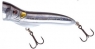 SPLASHER 52 FT  O