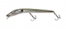 SLENDER EEL 126 SU  D9